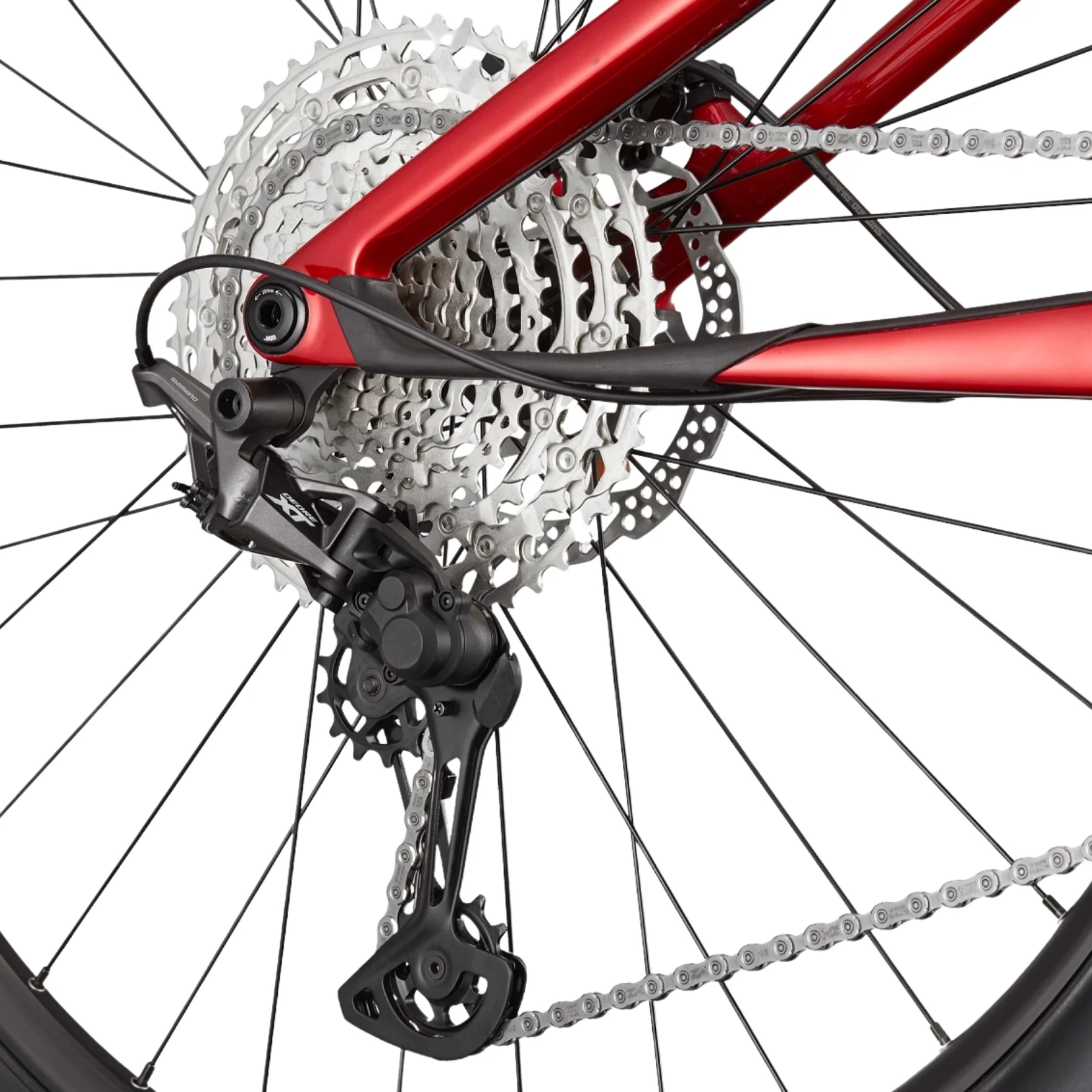 Cannondale Scalpel Carbon 4 2026 - Image 5